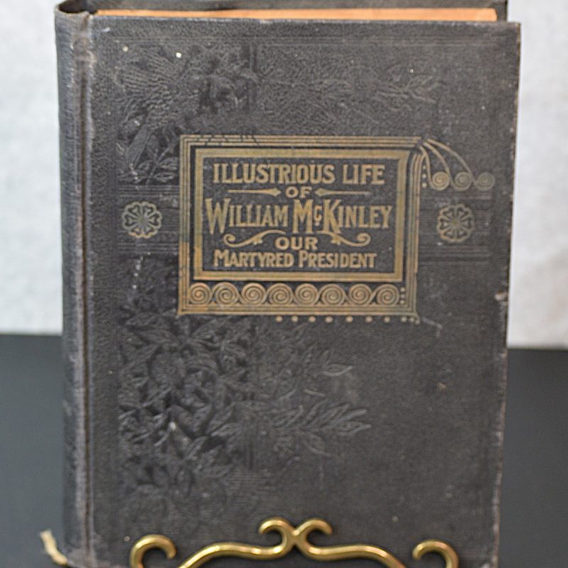 Illustrious Life of William McKinley Book