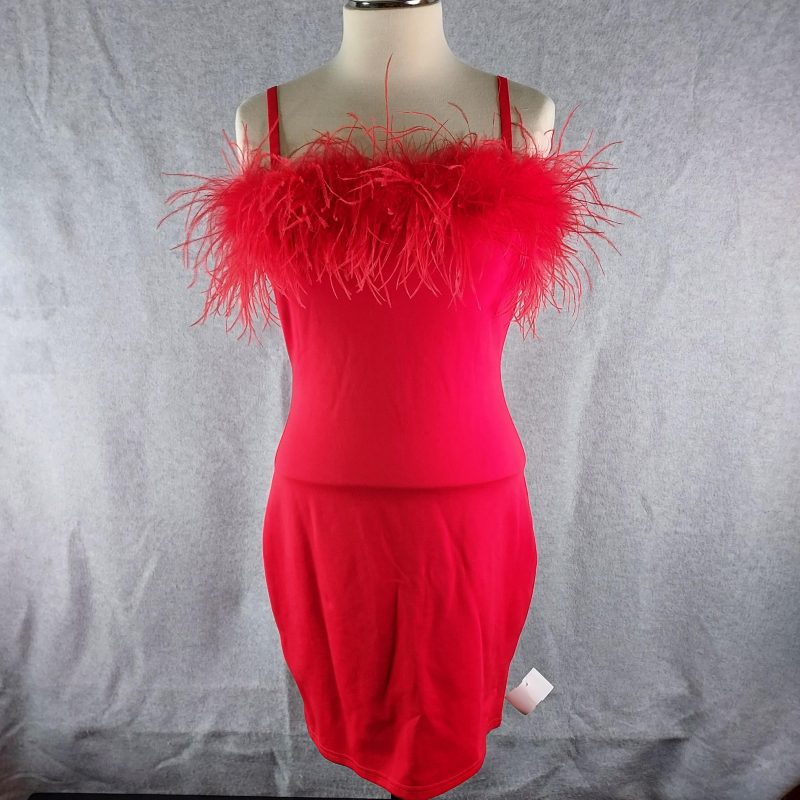 Feather Mini Dress