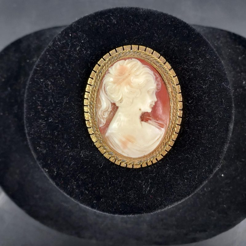 Vintage Cameo Pin