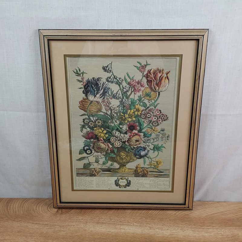 Robert Furber "April" Botanical Print