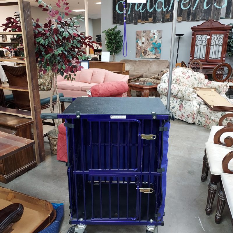 "Best In Show" Trolley